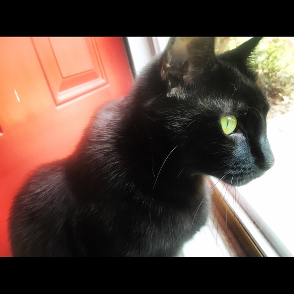 Meet your Posher, Meredith - Picture 3 of 6